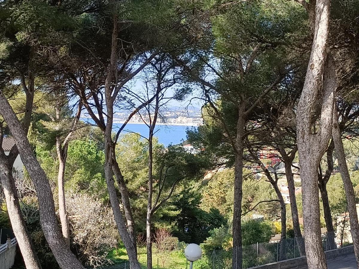 Appartement T2 Sanary Sur Mer 외부 사진